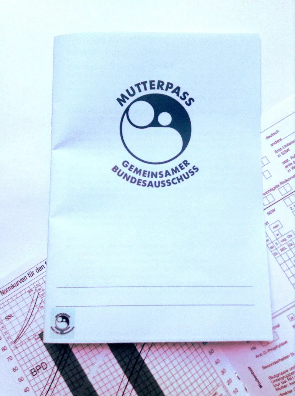 Mutterpass – Schwangerschaftsbuch zur Erinnerung, stilvolles Geschenk für werdende Mütter